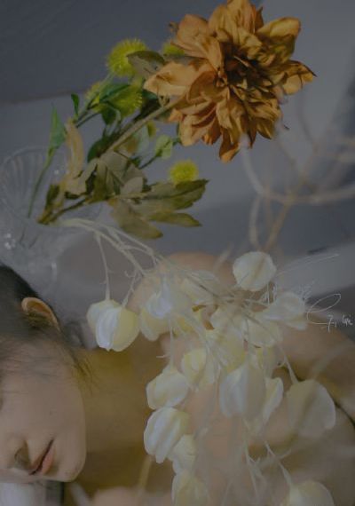 花房姑娘大全免费观看电视剧_琪琪电影国产在线观看